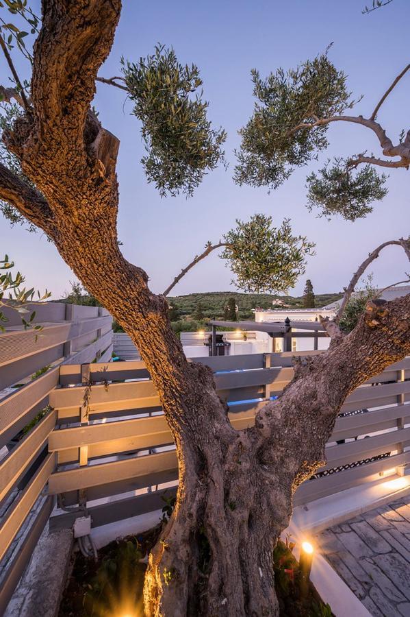 B&M Villas Metochi Siriliou Dış mekan fotoğraf